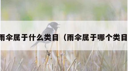 雨伞属于什么类目（雨伞属于哪个类目）