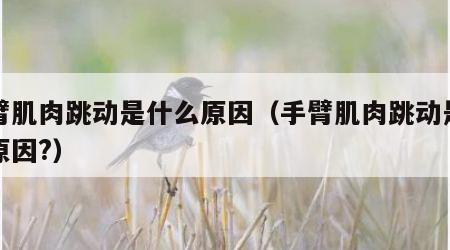 手臂肌肉跳动是什么原因（手臂肌肉跳动是什么原因?）