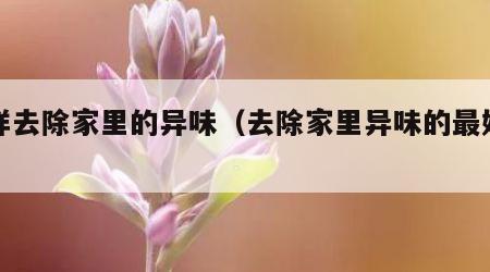 怎样去除家里的异味（去除家里异味的最好办法）