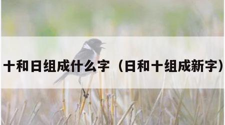 十和日组成什么字（日和十组成新字）