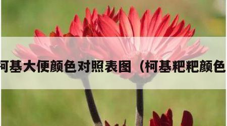 柯基大便颜色对照表图（柯基粑粑颜色）