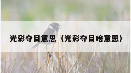 光彩夺目意思（光彩夺目啥意思）