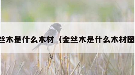 金丝木是什么木材（金丝木是什么木材图片）