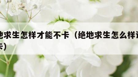 绝地求生怎样才能不卡（绝地求生怎么样设置不卡）