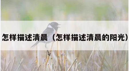 怎样描述清晨（怎样描述清晨的阳光）