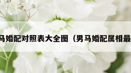 男马婚配对照表大全图（男马婚配属相最好）