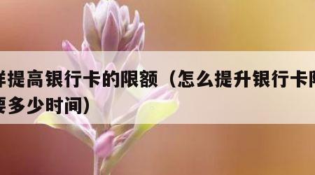 怎样提高银行卡的限额（怎么提升银行卡限额需要多少时间）