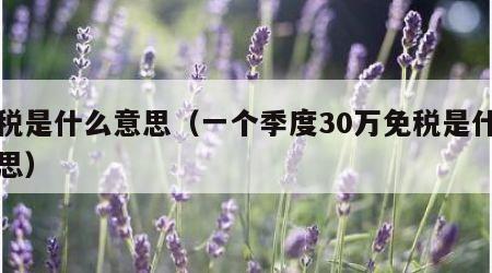 免税是什么意思（一个季度30万免税是什么意思）