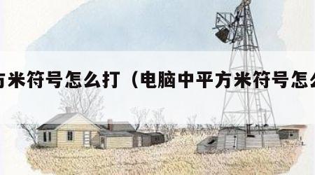 平方米符号怎么打（电脑中平方米符号怎么打）