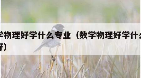 数学物理好学什么专业（数学物理好学什么专业好）