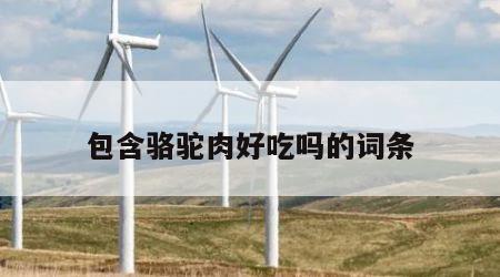 包含骆驼肉好吃吗的词条