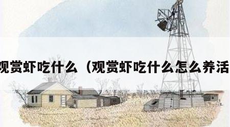 观赏虾吃什么（观赏虾吃什么怎么养活）