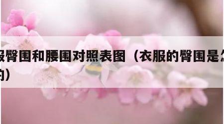 衣服臀围和腰围对照表图（衣服的臀围是怎么算的）