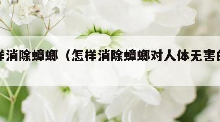 怎样消除蟑螂（怎样消除蟑螂对人体无害的办法）