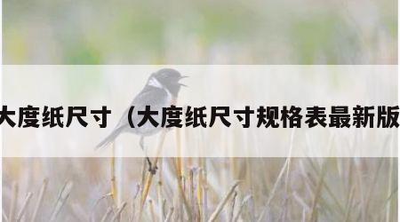 大度纸尺寸（大度纸尺寸规格表最新版）