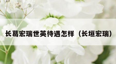 长葛宏瑞世英待遇怎样（长垣宏瑞）