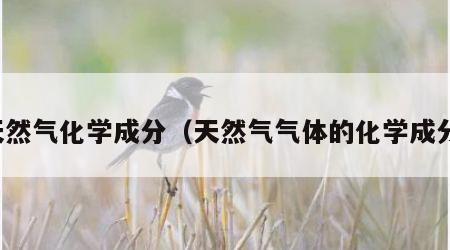 天然气化学成分（天然气气体的化学成分）
