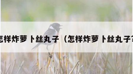 怎样炸萝卜丝丸子（怎样炸萝卜丝丸子?）