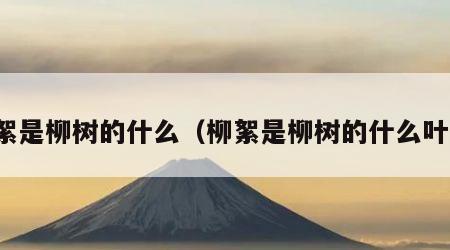 柳絮是柳树的什么（柳絮是柳树的什么叶子）