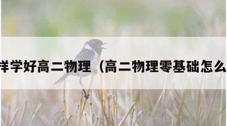 怎样学好高二物理（高二物理零基础怎么学）