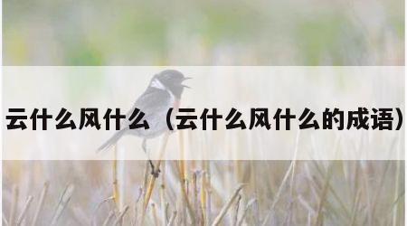 云什么风什么（云什么风什么的成语）
