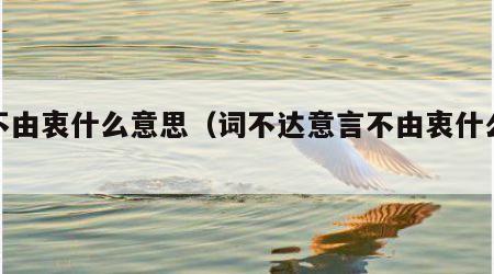 言不由衷什么意思（词不达意言不由衷什么意思）