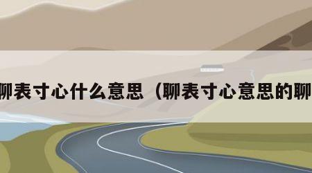 聊表寸心什么意思（聊表寸心意思的聊）