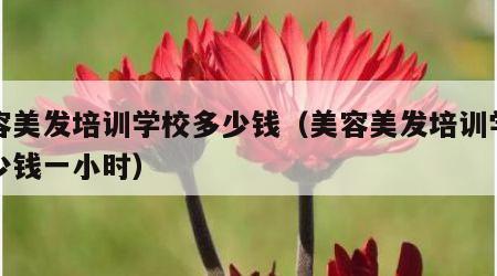 美容美发培训学校多少钱（美容美发培训学校多少钱一小时）