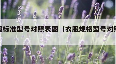 衣服标准型号对照表图（衣服规格型号对照表）