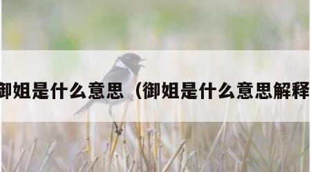 御姐是什么意思（御姐是什么意思解释）