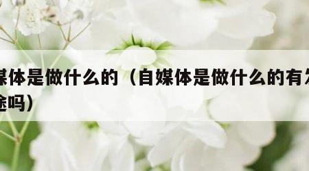 自媒体是做什么的（自媒体是做什么的有发展前途吗）