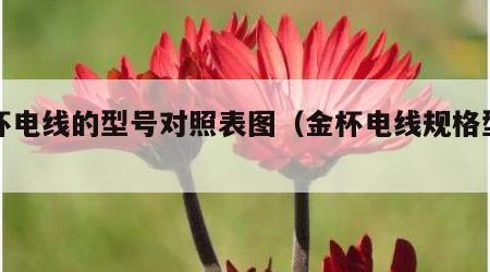 金杯电线的型号对照表图（金杯电线规格型号）