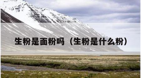 生粉是面粉吗（生粉是什么粉）