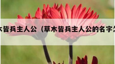 草木皆兵主人公（草木皆兵主人公的名字怎么读）