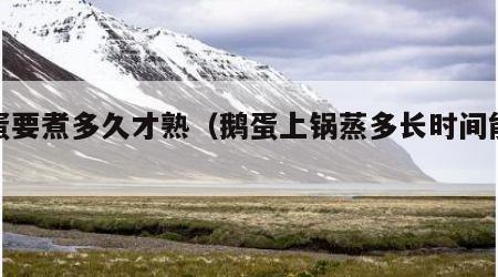鹅蛋要煮多久才熟（鹅蛋上锅蒸多长时间能熟）