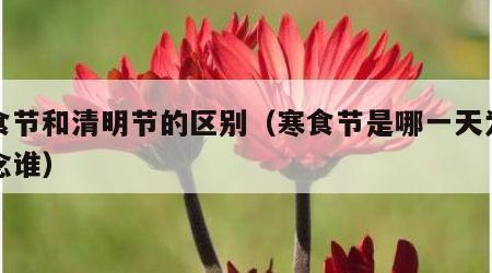 寒食节和清明节的区别（寒食节是哪一天为了纪念谁）