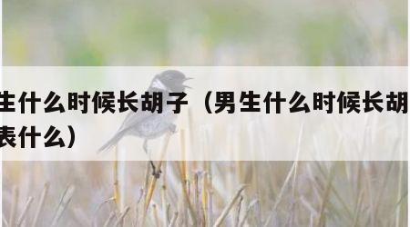 男生什么时候长胡子（男生什么时候长胡子,代表什么）