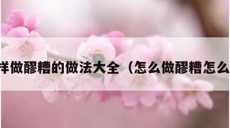 怎样做醪糟的做法大全（怎么做醪糟怎么做）