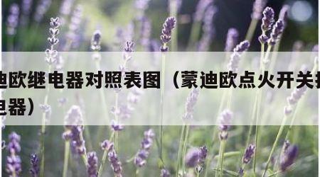 蒙迪欧继电器对照表图（蒙迪欧点火开关打开继电器）