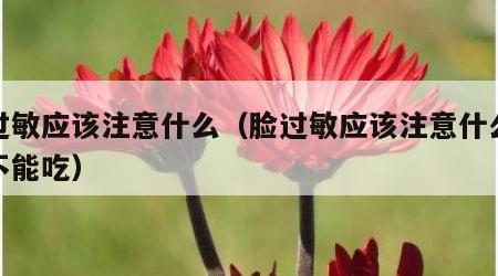 脸过敏应该注意什么（脸过敏应该注意什么东西不能吃）