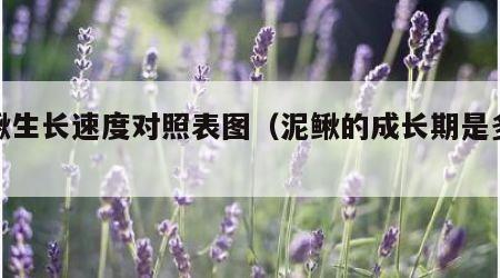 泥鳅生长速度对照表图（泥鳅的成长期是多少）