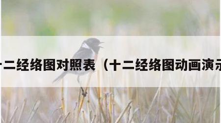 十二经络图对照表（十二经络图动画演示）