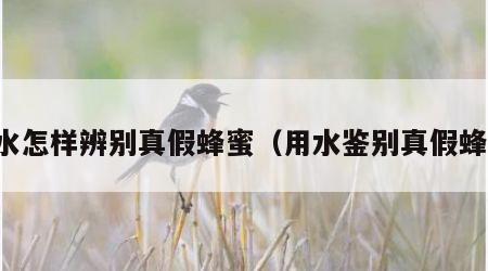 用水怎样辨别真假蜂蜜（用水鉴别真假蜂蜜）