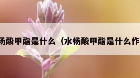 水杨酸甲酯是什么（水杨酸甲酯是什么作用）