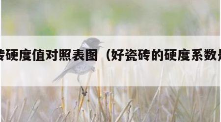 瓷砖硬度值对照表图（好瓷砖的硬度系数是多少）