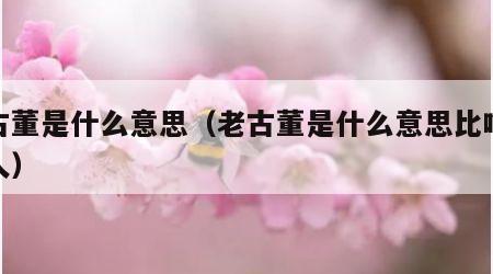 老古董是什么意思（老古董是什么意思比喻什么人）