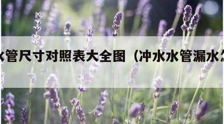 冲水管尺寸对照表大全图（冲水水管漏水怎么办）