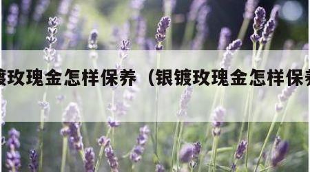 银镀玫瑰金怎样保养（银镀玫瑰金怎样保养好）