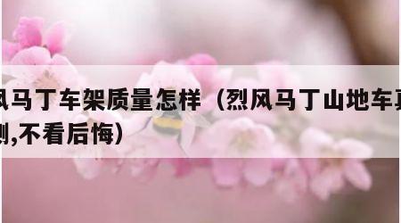 烈风马丁车架质量怎样（烈风马丁山地车真实评测,不看后悔）