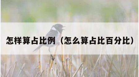 怎样算占比例（怎么算占比百分比）